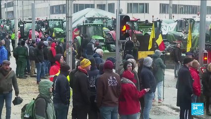 Colère des agriculteurs : Bruxelles paralysée par les tracteurs