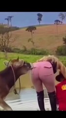 Funny video | Entertaining video | Do not laugh | Try not to laugh