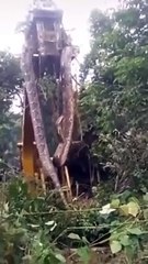 En Brasil una anaconda de 10 metros fue hallada en un sitio de construcción