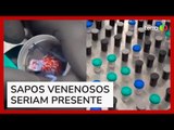 Polícia Colombiana apreende 130 sapos venenosos transportados por brasileira