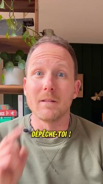 Semez au chaud les poivrons, piments et aubergines