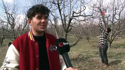 Dron korkusuyla traktörün altına saklandı: "İlaçla virüs yayacak sandım" dedi