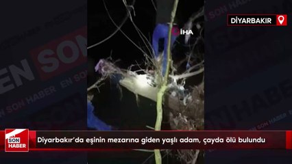 Diyarbakır'da eşinin mezarına giden yaşlı adam ölü bulundu