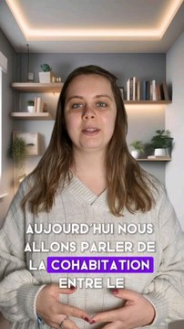 cohabitation entre le chien et le chat