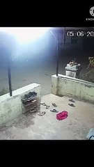 a surveillance camera capture a dog running away from a cheetah in fear