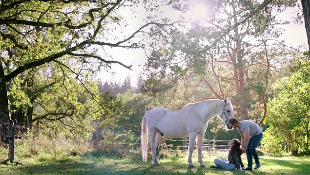 Sturm der Liebe Folge 4206 Das Abschiedsfest