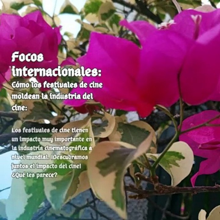 Moises Shemaria Capuano| Focos internacionales (parte 1)