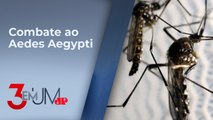 Governo de SP fará mobilização contra mosquito da dengue