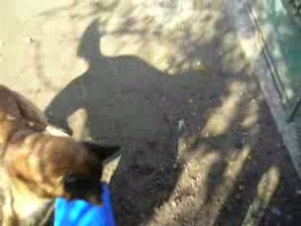 Zozo