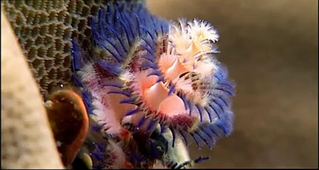 Los oceanos la fuerza del agua