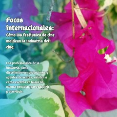 Moises Shemaria Capuano| Por ejemplo (parte 2)