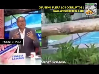 NO TIENE LUPUS, NO VIVE EN ASENTAMIENTO HUMANO, PERO SE EMBOLSILLÓ DIEZ PALOS VERDES