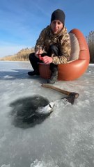 Catch, prepare and cook fish in a very amazing and professional way 2024