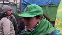 Europa: protestas del sector agrícola se tomaron las calles de Bruselas y Madrid