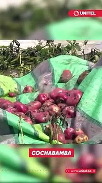 Riadas y mazamorras arrasan con cultivos, vehículos y granjas en al menos cinco departamentos y más de 12.000 familias están afectadas por las lluvias en todo el país