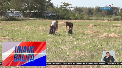 PAGASA: Matinding init sa Iloilo City, itinuturing nang dry spell; magtatagal hanggang sa katapusan ng Marso | UB