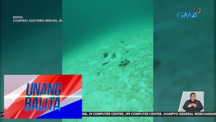 Mga patay na isda sa ilalim ng dagat, natagpuan sa bahagi ng Lumayag Slope | UB