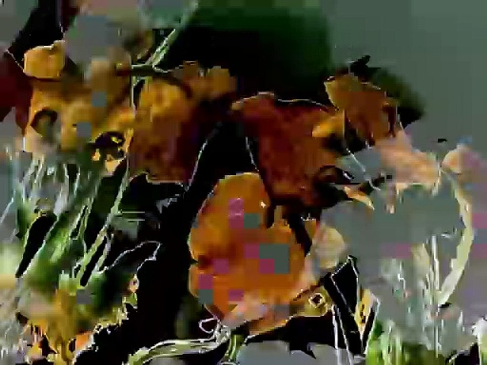 The Garden of Earthly Delights (Stan Brakhage, 1981) Blu-ray Criterion Collection