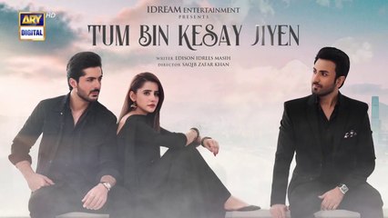 Tum Bin Kesay Jiyen Episode 15 _ ARY Digital