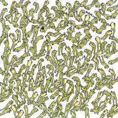 Optinen harha: Voitko löytää sammakon, joka EI hyppää?