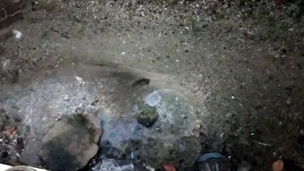 Water as the Source of Life 40