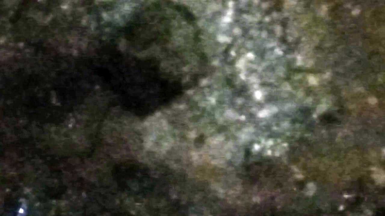 Water as the Source of Life 41