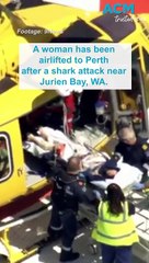 Shark attack in waist-deep water leaves woman with serious injuries