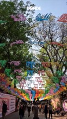Dónde Ir: Paseo por Coyoacán, CDMX
