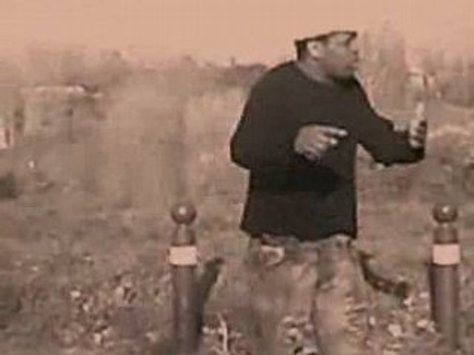 Il boi1