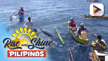 Mga Pilipinong nangingisda sa Bajo de Masinloc, dumami na ayon sa BFAR