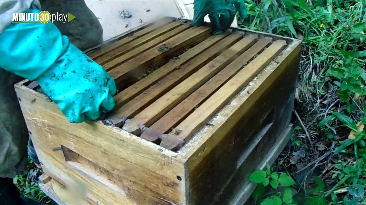 26-10-18 Proyecto antioqueno de conservacion de Ecosistemas Estrategicos finalista en concurso de Colciencias