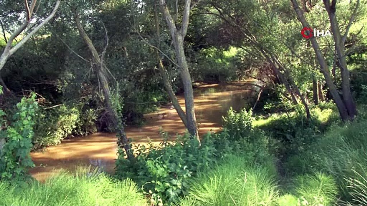 Balık sevdası canını aldı