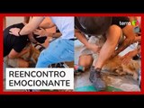 Jovem se emociona ao reencontrar cão que havia sumido em incêndios florestais no Chile