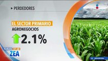 La economía mexicana creció 3.2% durante 2023: ¿Quiénes ganaron y quiénes perdieron?