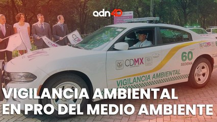 Estos son los "Ecoguardas" y las patrullas que pueden sancionarte por falta de holograma