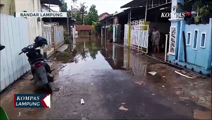 Banjir Surut, Ratusan Ulat Bulu Muncul di Rumah Warga