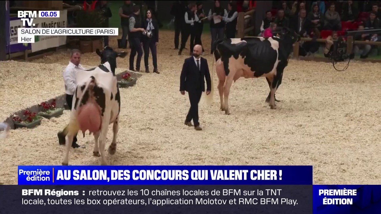 Salon de l'agriculture: des concours qui attirent les visiteurs et qui rapporte aux agriculteurs