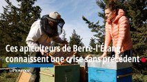 Ces apiculteurs de Berre-l'Étang connaissent une crise sans précédent