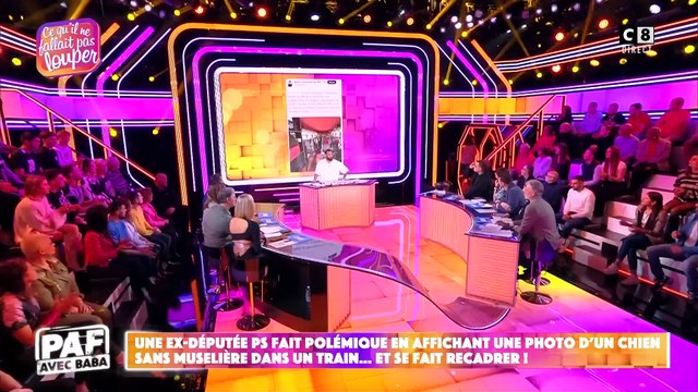 Cette polémique autour d'un chien sans muselière, dans un train, qui enflamme la France et les plateaux télé avec des milliers de vues sur les réseaux sociaux