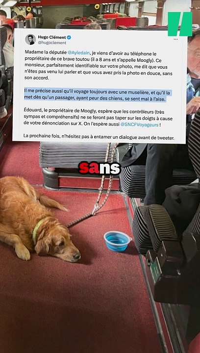 Le chien dans le train sans muselière, c’est permis ?