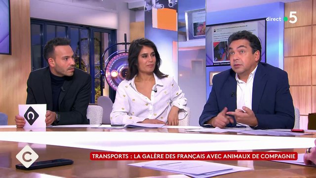 Patrick Cohen, le journaliste qui ne supporte pas les chiens dans les trains, se fait bousculer par les autres chroniqueurs de C à vous sur France 5 - Regardez