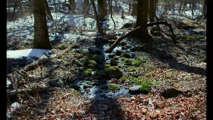 Le Mal n'existe pas Bande-annonce (2024) Hitoshi Omika, Ryo Nishikawa