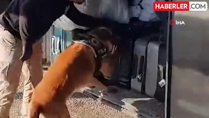 Yolcu otobüsünde 11 kilo 650 gram uyuşturucu ele geçirildi