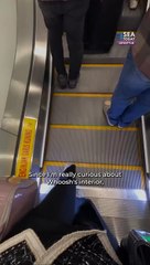 Whoosh high-speed railway ride experience