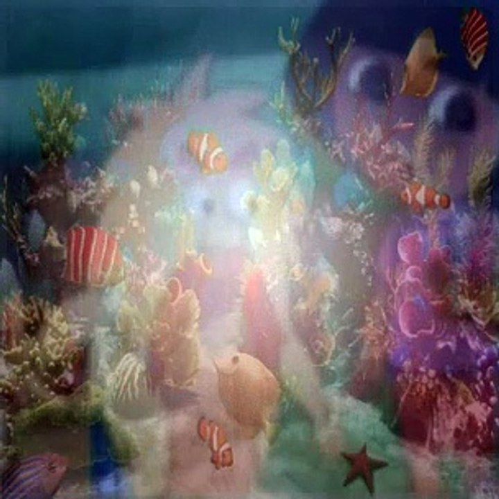 Dora The Explorer Season 5 Episode 18 Boots Banana Wish video Dailymotion