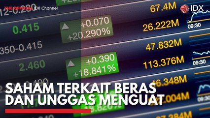 Saham Terkait Beras dan Unggas Menguat