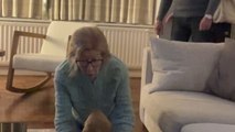 Man makes mom and sister's day with a lovely Golden Retriever puppy surprise!