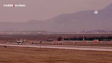 Dünyanın en rahat kedisi sosyal medyada izlenme rekoru kırdı
