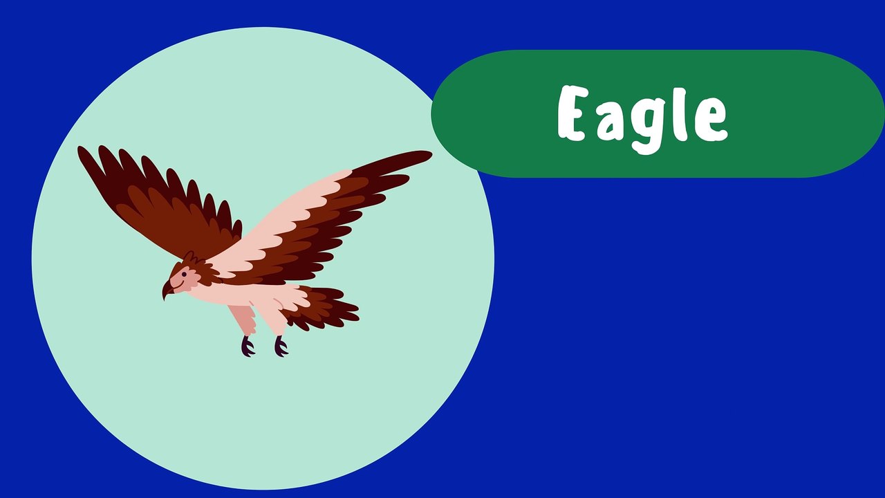 Animals for Kids - Fun Animal Facts Kids - Animal Education Learning - About Animals Wildlife for Children - Animal Fun for Kids