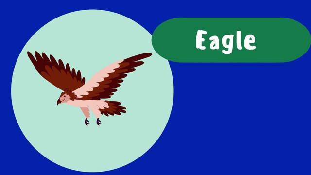 Animals for Kids - Fun Animal Facts Kids - Animal Education Learning - About Animals Wildlife for Children - Animal Fun for Kids